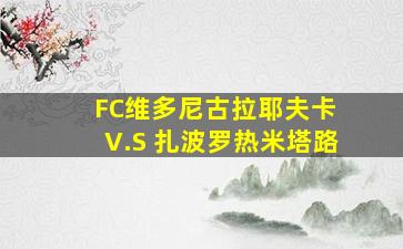 FC维多尼古拉耶夫卡 V.S 扎波罗热米塔路